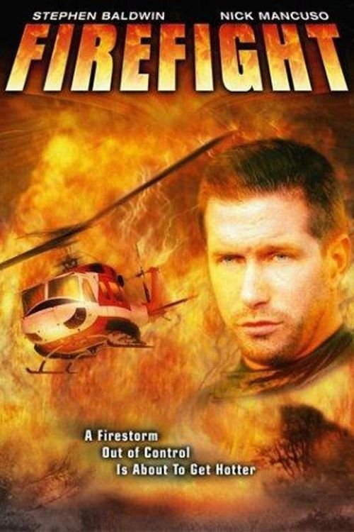 Постер Firefight